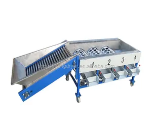 Factory price automatic fruit vegetable sorting apple potato tomato orange avocado onion grading washing size weighing machine