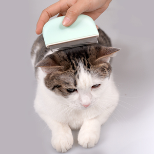 Vente en gros du fabricant Peigne de toilettage pour chat en acier inoxydable vert rose blanc et ABS - Product Image 2