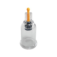 Tasses de thérapie par ventouses en plastique B en vrac ventouses sous vide pour Hijama pour les traitements par ventouses