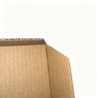 Umweltfreundliche Lebensmittelgeeignete Wellpappe-Pizzabox mit Prägung für Westliche Restaurants und Fast-Food-Takeaways