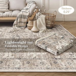 Zone abstraite moderne lavable chevet antidérapant jeter pliable <span class=keywords><strong>entrée</strong></span> chambre intérieur <span class=keywords><strong>Vintage</strong></span> Floral paillasson - Product Image 4