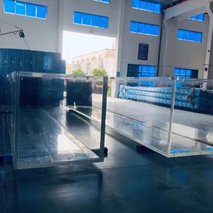 Peixes de Aquário à Venda - Product Image 6