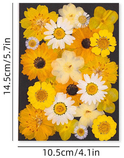 MH712 Jaune 23 pièces