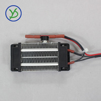 Fabricant de radiateurs 220V 300W Radiateur PTC en céramique isolé Radiateur d'air Incubateur Contrôleur Élément chauffant 110*50*26mm