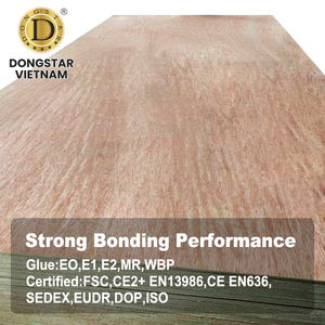 Plaque de contreplaqué Bintangor 4x8 pieds, contreplaqué stratifié avec âme en eucalyptus Combi Core - Product Image 3