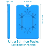 Brique de glace réutilisable et rechargeable non toxique de 200 ml pour sacs/boîtes à lunch, sacs à dos isothermes, blocs de glace pour le camping
