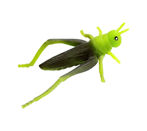 Juguete Antiestrés de Insecto Artificial 3D, Juguete Sensorial para Aliviar el Estrés, Recuerdo de Fiesta, Venta al Por Mayor OEM - Product Image 2