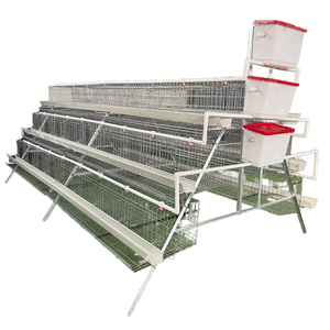 Équipements pour l'élevage de poulets et de poules pondeuses en ferme avicole, pour poulaillers et cages - Product Image 1