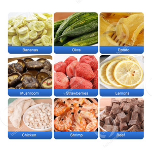 Línea de producción de liofilizador de alimentos OCEAN Industrial de 100kg, liofilizador profesional, precio de frutas y verduras - Product Image 6