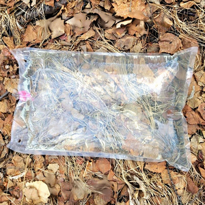 Jugo de <span class=keywords><strong>Savia</strong></span> de Abedul Blanco Puro Natural de Grado Alimenticio 99% en Polvo para Materias Primas de Alta Pureza para Productos de Salud y Bebidas - Product Image 1