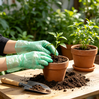 Gants jetables en TPE sans poudre pour la coloration des cheveux et la préparation des aliments