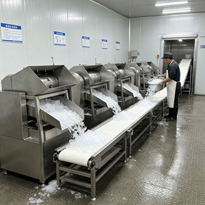 Machine à glace pilée à bas prix, grande capacité, brise-glace 9t/h, très vendue, 380V avec moteur à roulement pour usage en <span class=keywords><strong>restaurant</strong></span> - Product Image 6