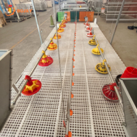 Système complet d'alimentation automatique pour poulets de chair – Mangeoire automatique pour volailles – Équipement directement du fabricant pour fermes avicoles