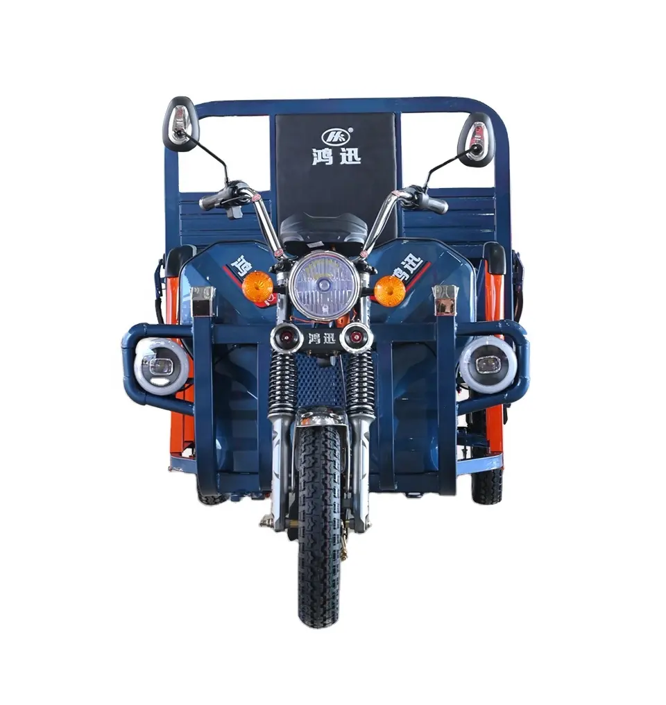 새로운 디자인 다른 크기 800w 1000w 3 바퀴 오토바이 트라이크 성인 전기 세발 자전거 운송화물