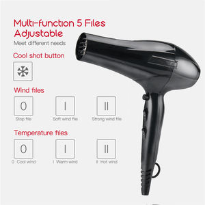 Sèche-<span class=keywords><strong>cheveux</strong></span> professionnel ionique à ions négatifs Pritech en gros, moteur AC 2200W 2400W pour salon - Product Image 2