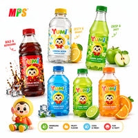 Oem Fabriek Prijs Drank Fabrikanten Beste Kwaliteit 300Ml Mix Fruit Flavour Fles Sap Drinken