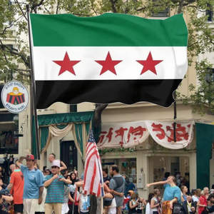 Livraison rapide en 48h Produit promotionnel Drapeau de la révolution syrienne 3x5 pieds 100% polyester Oeillets en laiton Mât de drapeau en aluminium Imperméable - Product Image 2