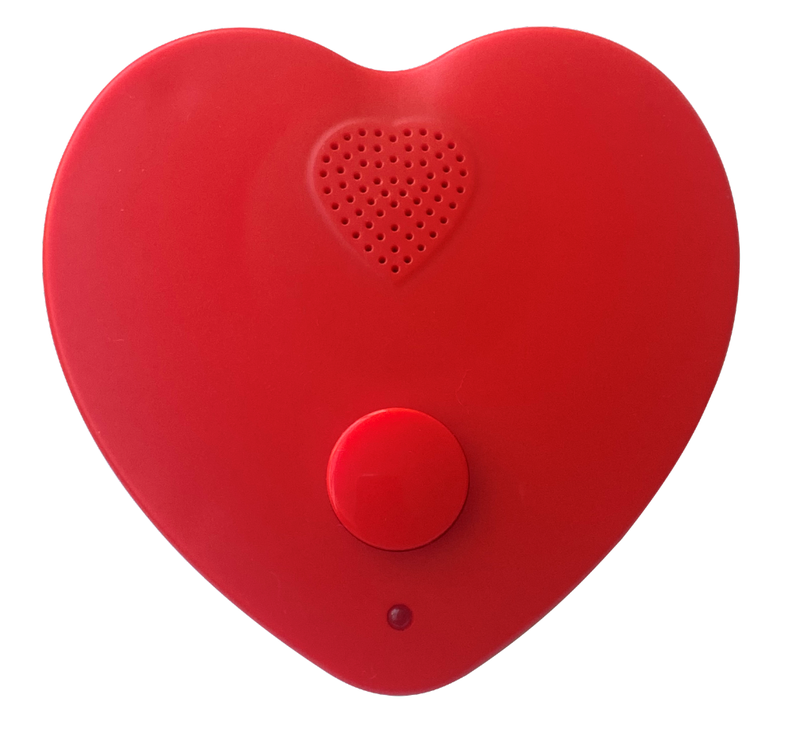 Customized Message Recordable Heart Shaped Plastic