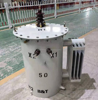 Transformateur monophasé LEINENG monté sur poteau, 10-100 kVA, immergé dans l'huile, bobinage en cuivre, 11 kV, 12,47 kV, 240/480 V, faible perte
