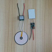 Taidacent 24V Entrée 12V 2A Sortie Aimant Chargeur Sans Fil À Induction TX RX Magnétique Sans Fil de Banque de Puissance de Module