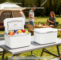 Mini glacière isotherme en polyuréthane, portable, pour la maison, la voiture, le camping, les stands commerciaux, l'utilisation en extérieur