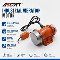 Hochwertiger IP65 Wasserdichter Elektrischer Vibrationsmotor 3600 U/min Externer Betonvibrator Einphasiger Industrieller Vibrationsmotor