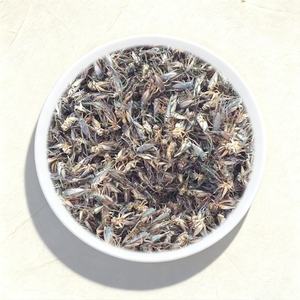 Bioforte Grillos Negros Silvestres Secos, Alimento Orgánico Natural con Alto Contenido de Proteínas para Mascotas, para Hámsters, Geckos Leopardo, Dragones Barbudos, Loros, Pájaros - Product Image 1