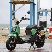 Modèles explosifs nouveau vélo électrique haute Performance moteur de moyeu arrière cadre en acier vélo électronique intelligent numérique