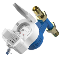 Compteur d'eau intelligent STS avec clavier et vanne DN15 15 mm, connectivité filetée ISO4064, IP65, système de vente prépayé, personnalisable OEM