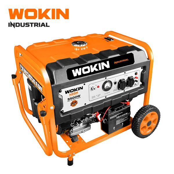 WOKIN 791255 산업 5kw 230v 50hz 작은 엔진 가솔린 <span class=keywords><strong>발전기</strong></span>