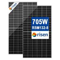 Panneau solaire Risen Top Performance 700W N-Type Bifacial HJT à faible luminosité pour toiture industrielle, livraison rapide