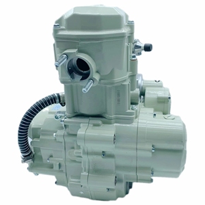 เครื่องยนต์ ZS200CC สตาร์ทไฟฟ้า คล้ายกับ Daytona Anima <span class=keywords><strong>200</strong></span> พร้อมชุดเครื่องยนต์ครบชุด พร้อมจัดส่ง Zongshen 200CC - Product Image 6