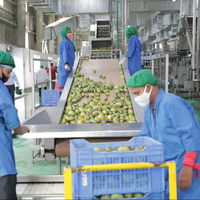 Hoge Kwaliteit Custom Mango Sap Verwerkingsmachine Buah Mangga/Mango Pulp Productie Fabriek Fruit Verwerkingslijn Sus304/316