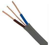 2,5mm elektrische Kabel Kabel Kupfer Flach Doppel-und Erdung kabel