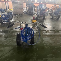 Machine de marquage routier à pulvérisation à froid à essence légère pour petits projets