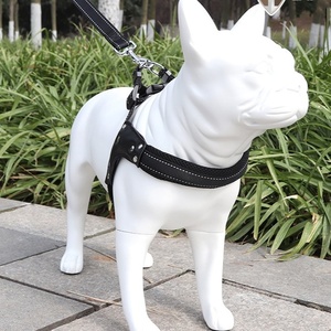 Fournitures <span class=keywords><strong>pour</strong></span> animaux de compagnie : Collier <span class=keywords><strong>pour</strong></span> chien <span class=keywords><strong>en</strong></span> sangle, laisse, corde de guidage, chaîne <span class=keywords><strong>pour</strong></span> chien, <span class=keywords><strong>harnais</strong></span> <span class=keywords><strong>en</strong></span> <span class=keywords><strong>V</strong></span> - Product Image 2