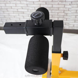 Bodybuilding Solide Deux en Un Chaise Romaine Extension Arrière Fitness Machine Dos <span class=keywords><strong>Hyperextension</strong></span> Équipement - Product Image 5