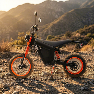 Livraison gratuite depuis l'entrepôt américain WISH01 Moto tout-terrain à moteur central 48V longue portée pour adolescents, double moteur 500W (1000W) - Product Image 1