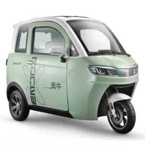 Wholesale 3 Wheel Fully Enclosed Electric Tricycle New Energy EEC Vehicles For Passenger