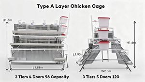 Cage à poules Sabot Sabo-128 de type A, construction en acier galvanisé et en acier inoxydable, garantie 1 an, longue durée de vie - Product Image 3
