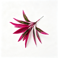 Vente en gros usine : Dracaena artificielle en plastique 58 cm, feuilles effet film rose et vert, tige en fer, pour décoration intérieure et événements (sans pot)