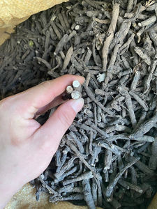 Xian Mao Atacado Preto Kali Curculigo Orchioides Raízes para Venda - Product Image 3