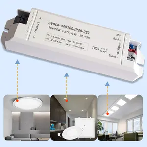 Dimmen-LED-Antrieb niedrige Leistung Wellenstromisolierung 48 V 1000 Ma 50 W Lichtbox SMPS