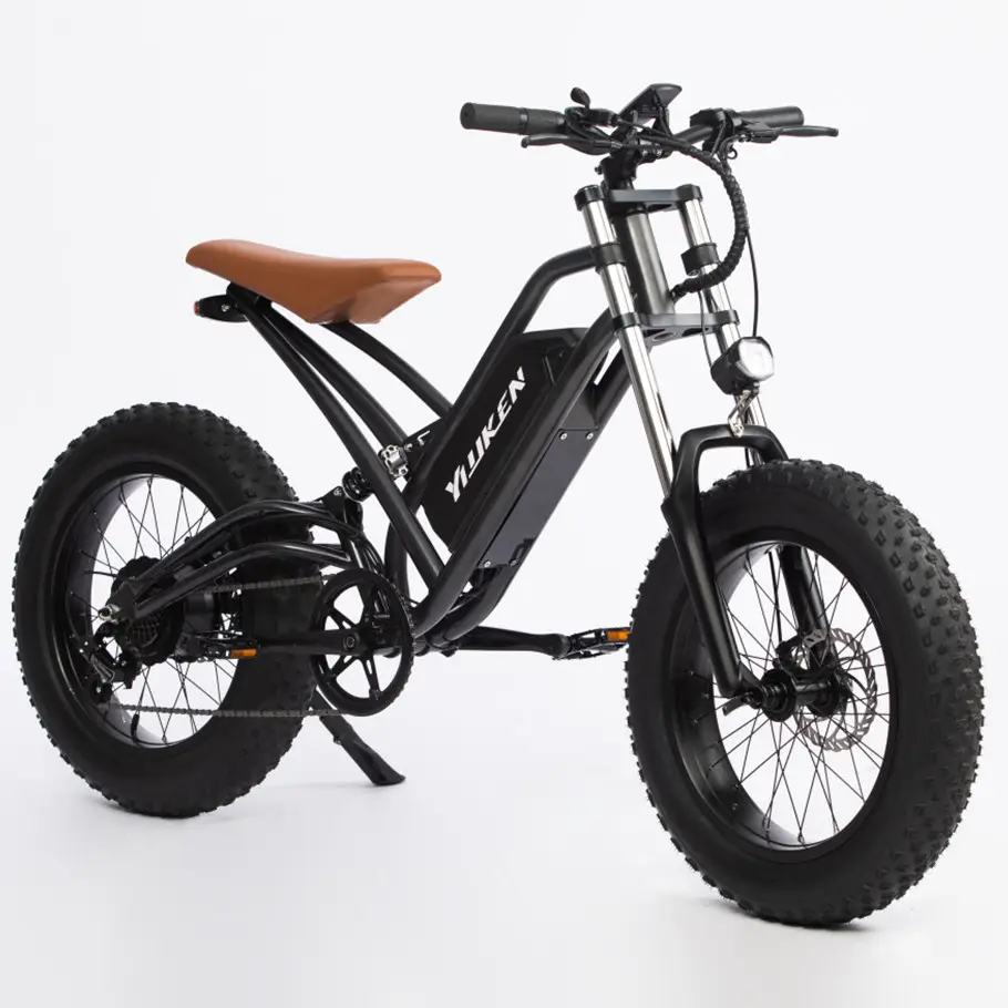 High Speed Hot High Power 750w 1000w Motor Mountain Moped Foldable 20inch Fat Tire Motorcycle Electric Bicycle E-bike E-bicycle