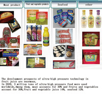 Stérilisateur de processus à haute pression personnalisé équipement de machine HPP 50L 100L 200L 500L pompe à jus de saucisse de viande comme composant de base