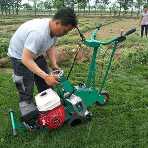 Machine de découpe de <span class=keywords><strong>gazon</strong></span> autotractée efficace, largeur de coupe 405 mm, pour le décapage de <span class=keywords><strong>gazon</strong></span> sur les terrains de golf et les pelouses - Product Image 3