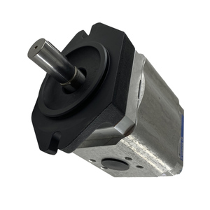 Bomba Hidráulica Eckerle Serie 890-E1, Bomba de Engranajes Internos 890-EI-0320-RK2-C313 para Mecanizado de Alta Precisión, Compatible con OEM - Product Image 3