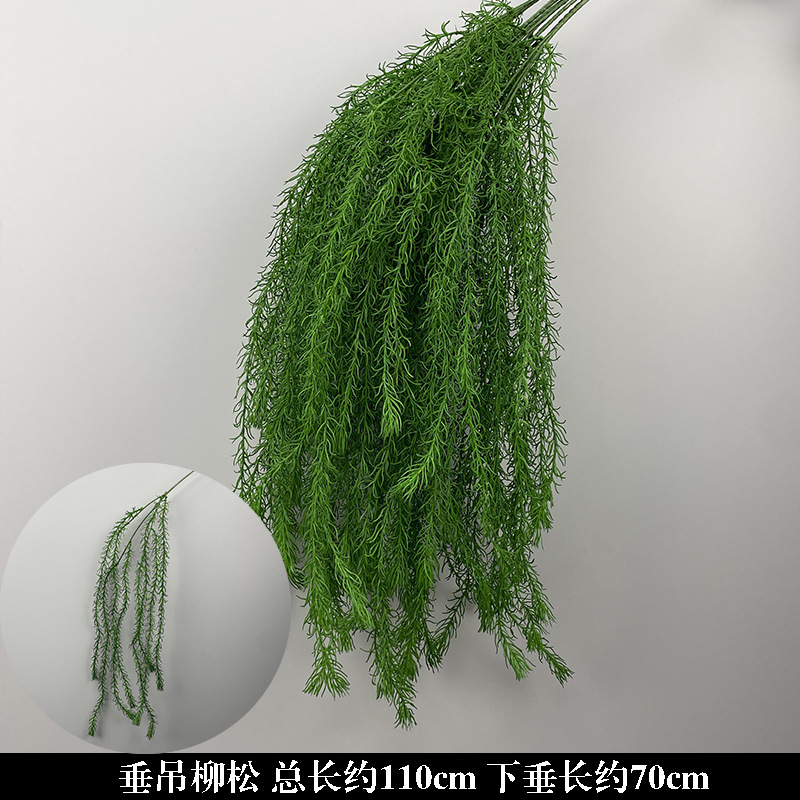 Plante verte suspendue saule ananas herbe