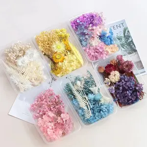 free sample top seller dry daisy flower and dried flower mixed flower grass For kids DIY work