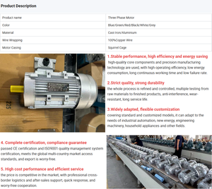 มอเตอร์ไฟฟ้ากระแสสลับแบบอะซิงโครนัสสามเฟส 0.25 กิโลวัตต์ 380 โวลต์ 50/60 เฮิรตซ์ 6 โพล ประสิทธิภาพสูง - Product Image 3